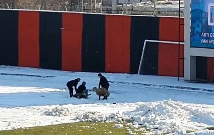Türk Futbolu’nda Bu da Oldu, Maç Esnasında Kale Arkasında Kurban Kesildi