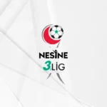 3.lig