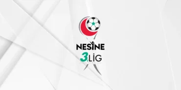 3.lig