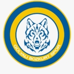 Gülyalı Bozkurt Spor Kulübü