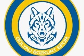Gülyalı Bozkurt Spor Kulübü