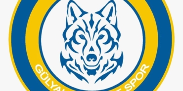 Gülyalı Bozkurt Spor Kulübü