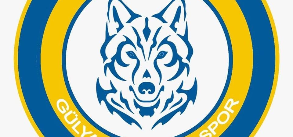 Gülyalı Bozkurt Spor Kulübü