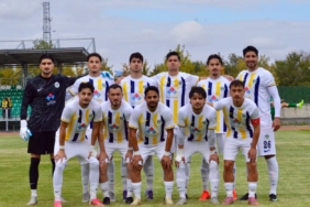 Fatsa Belediyespor
