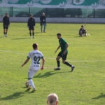 Tevfik Doğukan Pala